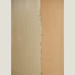 innenwand teilverputzt mit hellbeigem gipsputz neben...