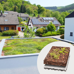 Gründachpaket 10m² Dachbegrünung Komplettpaket