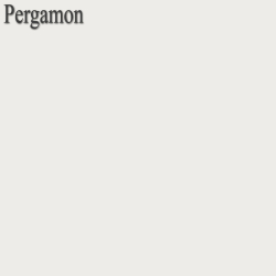 PCI Nanofug Premium 5kg Pergamon